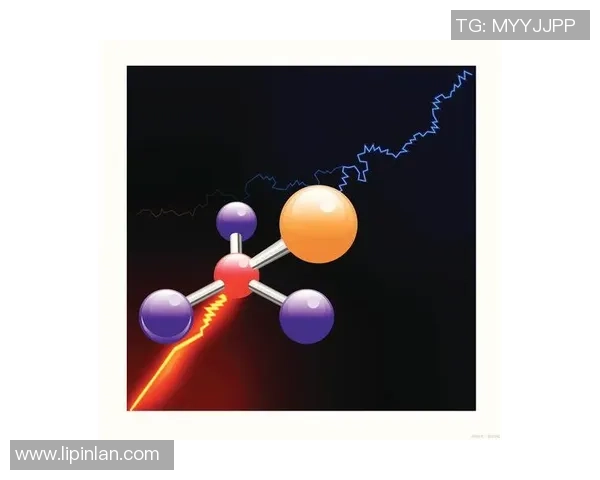 探索fh足球的魅力与发展历程，揭示其背后的故事与未来趋势